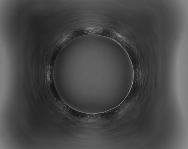 X0000085831346200703231411