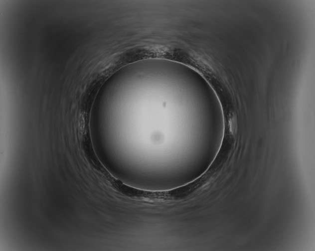 X0000085831347200703231411