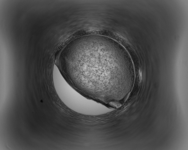 X0000085831348200703231411