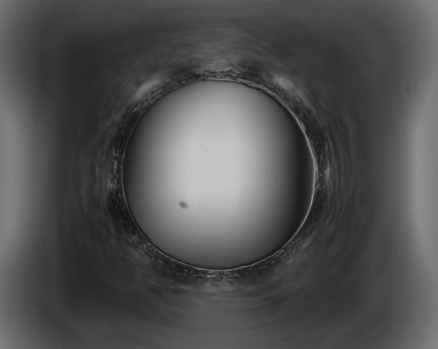 X0000085831350200703231411