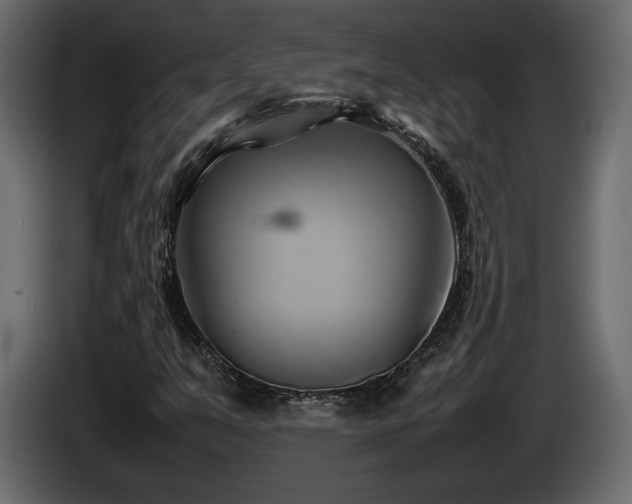 X0000085831351200703231411