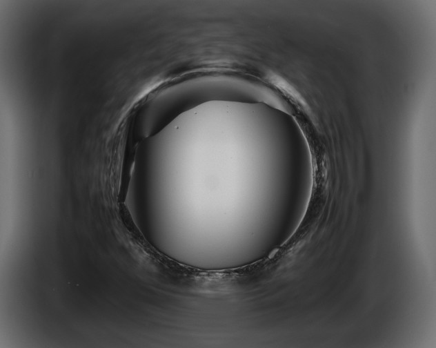 X0000085831352200703231411