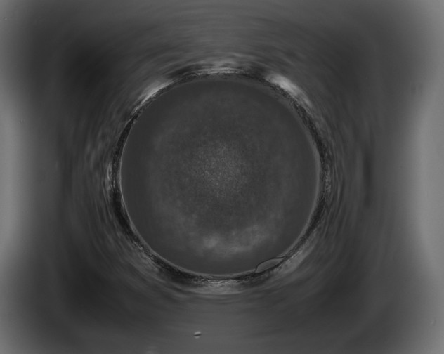 X0000085831353200703231411