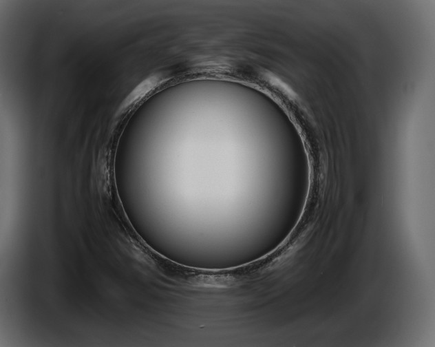 X0000085831354200703231411
