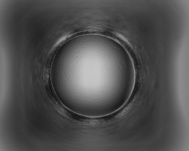 X0000085831355200703231411