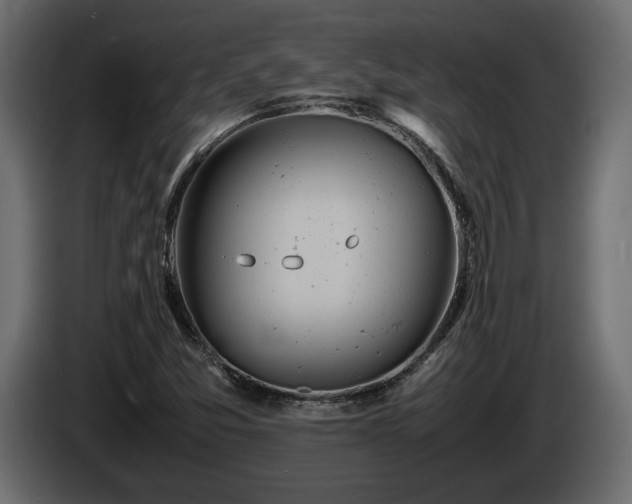 X0000085831357200703231411