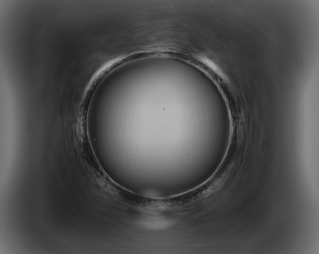 X0000085831358200703231411
