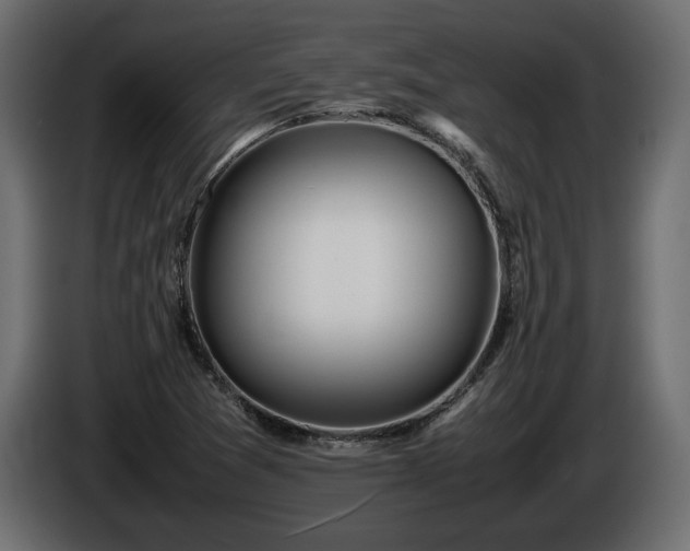 X0000085831361200703231411