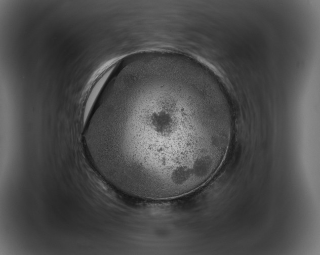 X0000085831363200703231411