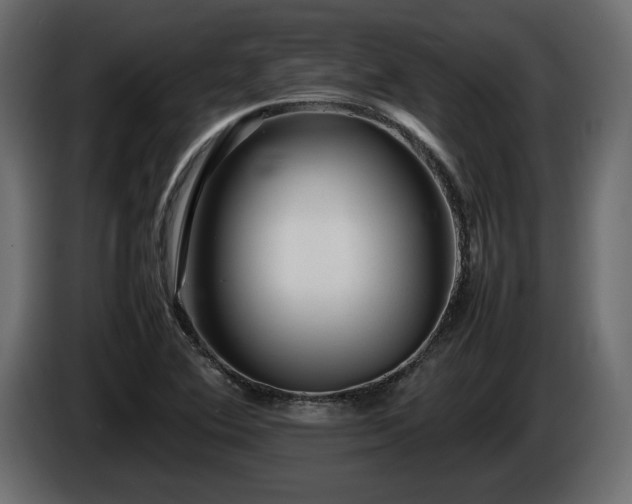 X0000085831364200703231411