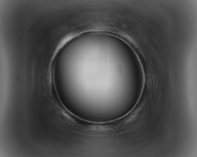 X0000085831366200703231411