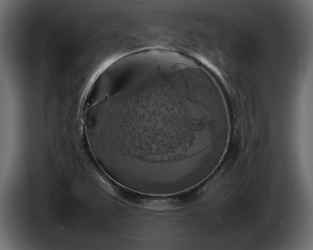 X0000085831367200703231411
