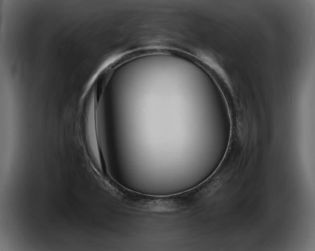 X0000085831368200703231411
