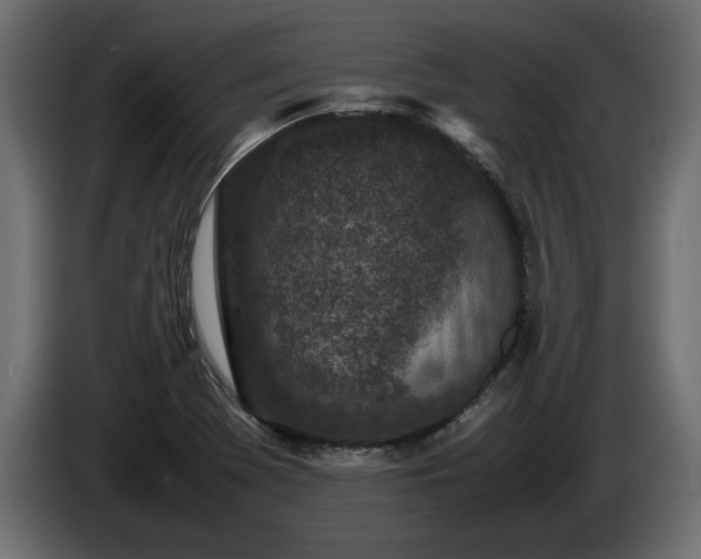 X0000085831369200703231411
