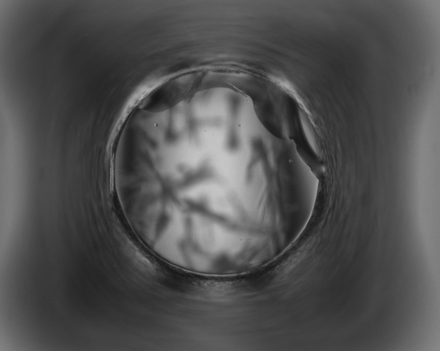 X0000085831371200703231411
