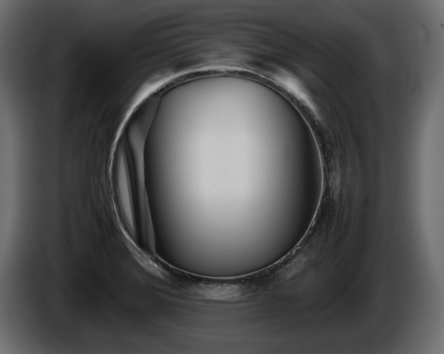 X0000085831372200703231411