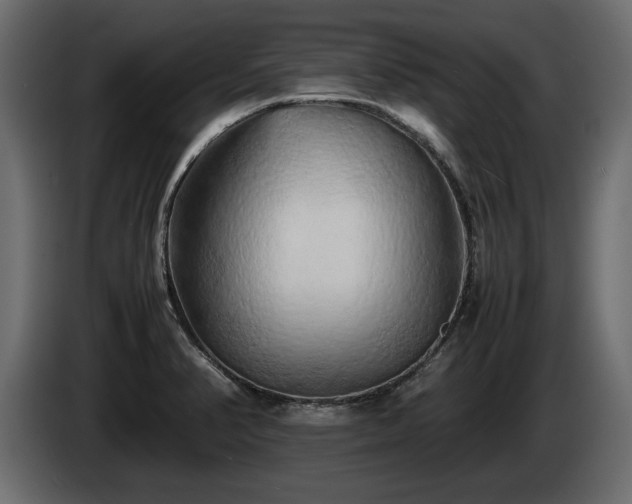 X0000085831374200703231411