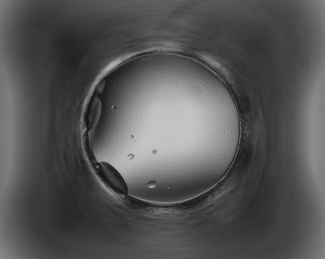 X0000085831375200703231411