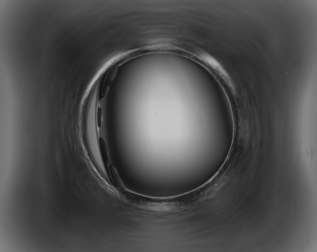 X0000085831376200703231411