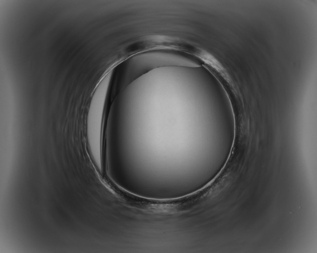 X0000085831377200703231411