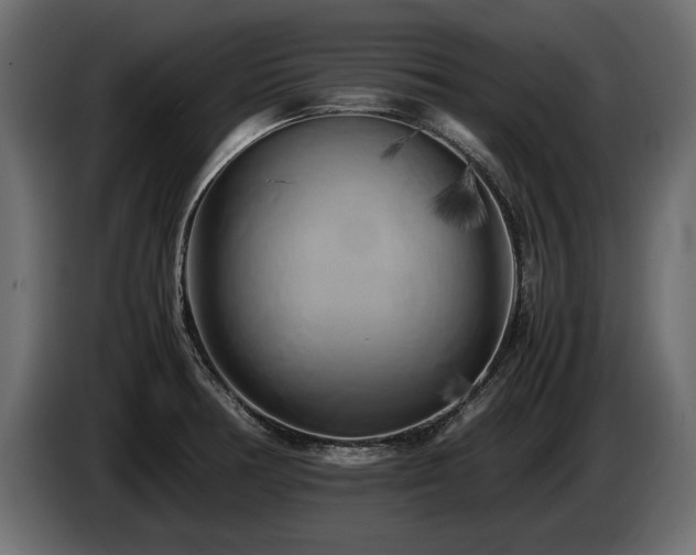 X0000085831378200703231411