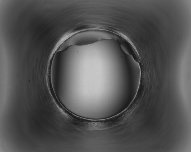 X0000085831379200703231411