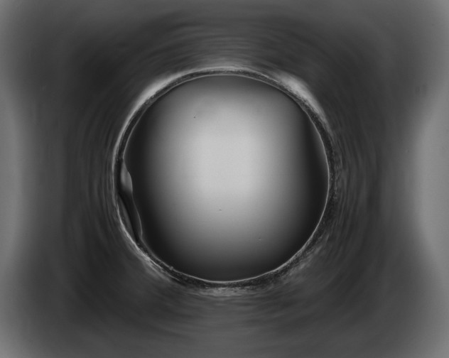 X0000085831380200703231411
