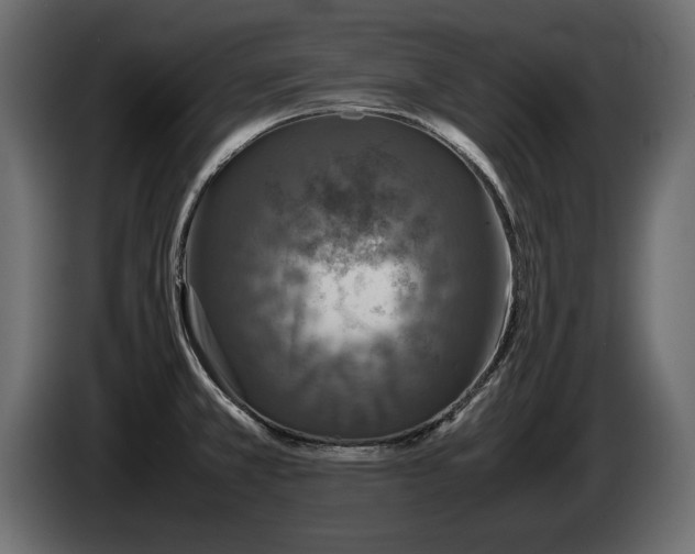 X0000085831381200703231411