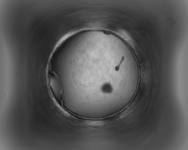 X0000085831382200703231411