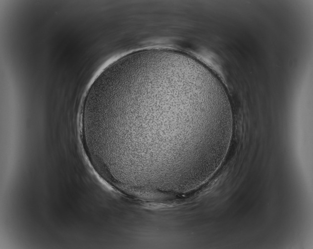 X0000085831383200703231411