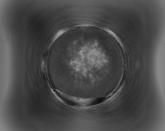 X0000085831385200703231410