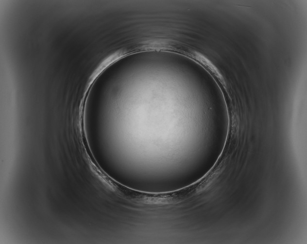 X0000085831386200703231410