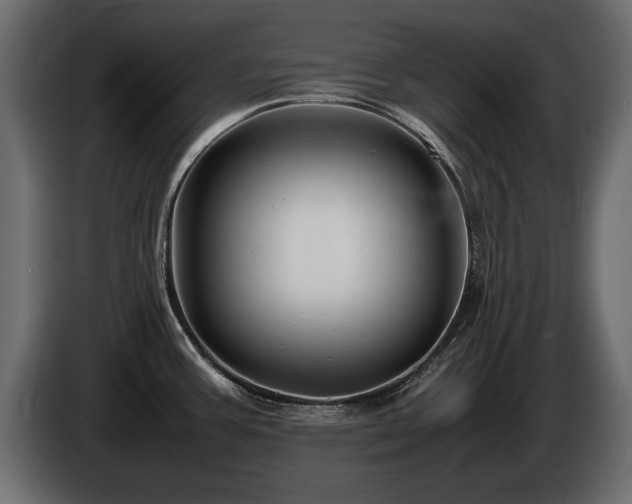 X0000085831387200703231410