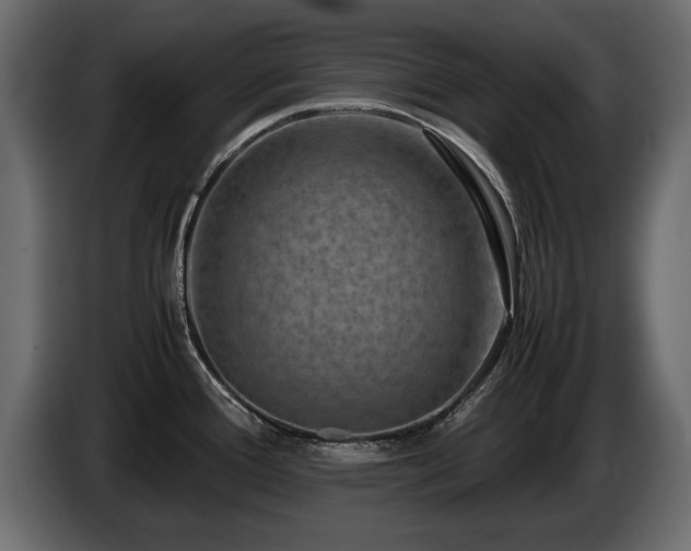 X0000085831388200703231410