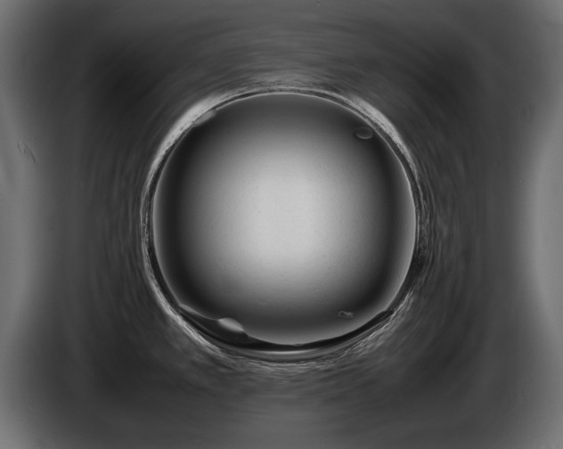 X0000085831389200703231410