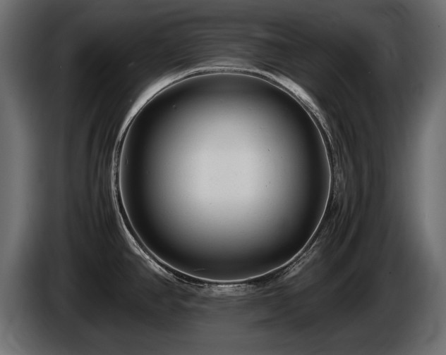 X0000085831390200703231410