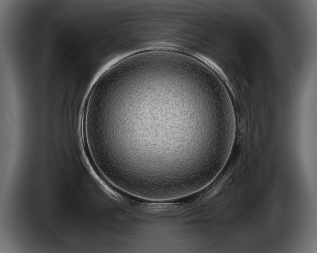 X0000085831391200703231410