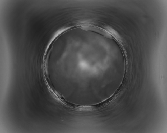 X0000085831392200703231410