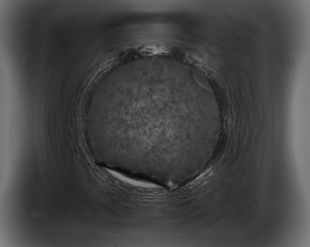 X0000085831393200703231410