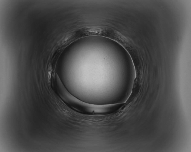 X0000085831394200703231410