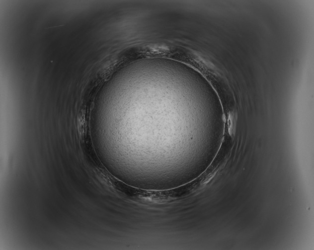 X0000085831395200703231410