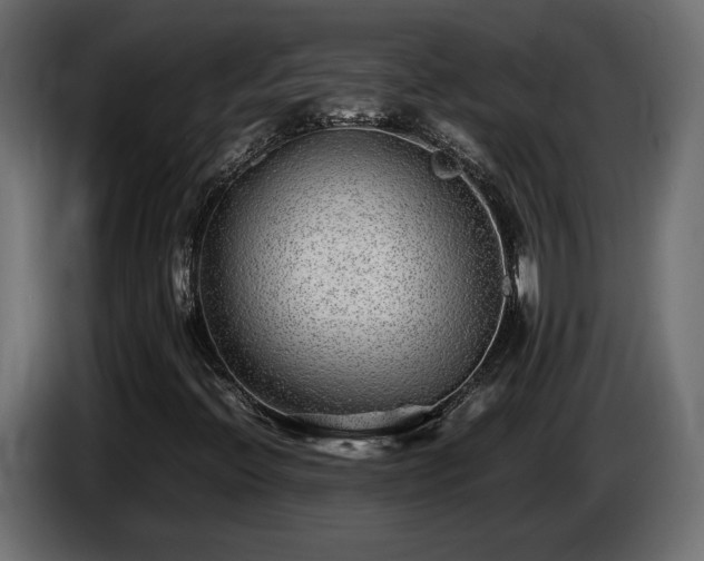 X0000085831396200703231410