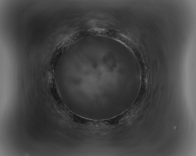 X0000085831397200703231410