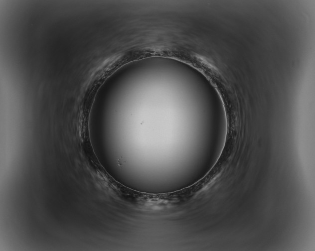 X0000085831398200703231410