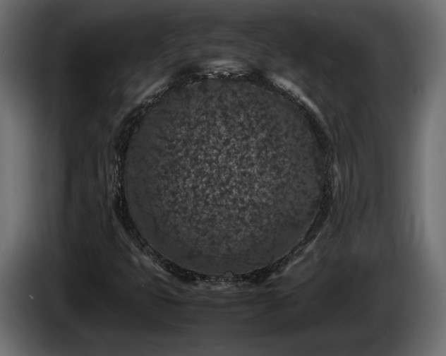 X0000085831399200703231410