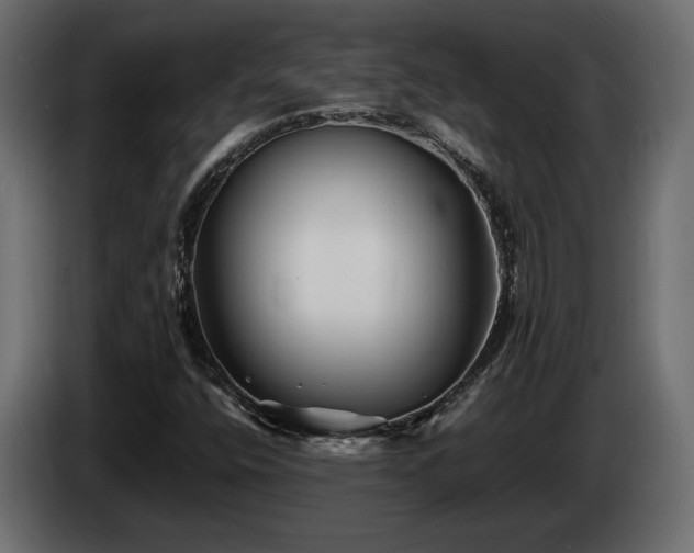 X0000085831400200703231410