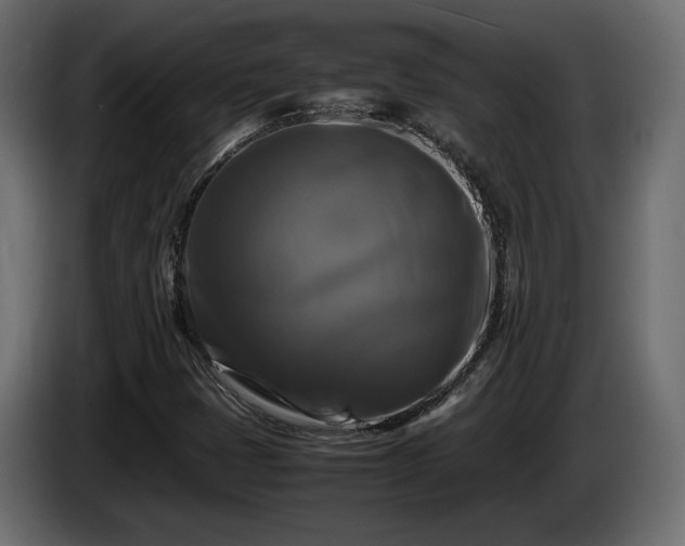 X0000085831401200703231410
