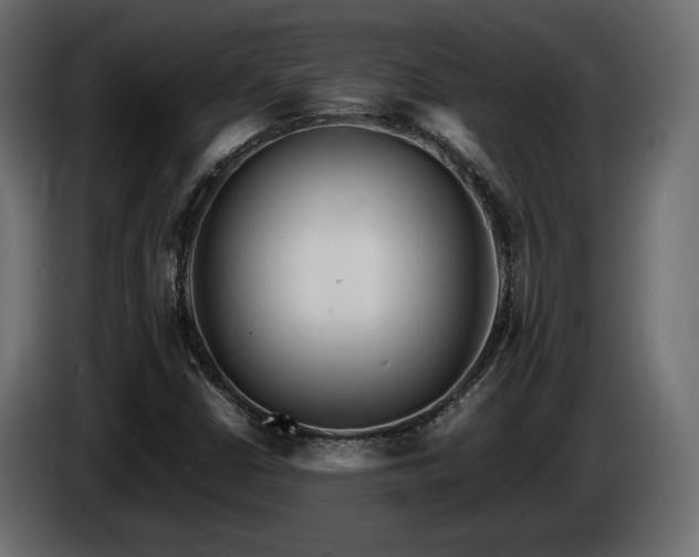 X0000085831402200703231410