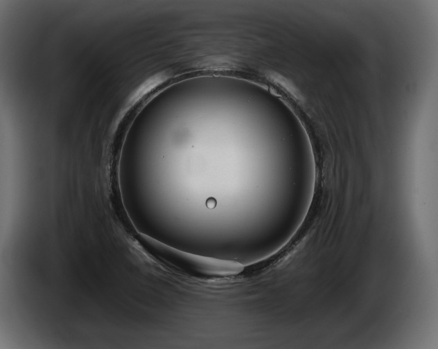 X0000085831410200703231410