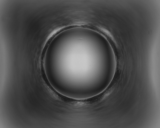 X0000085831412200703231410